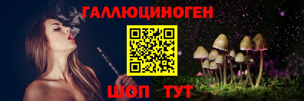 Галлюциногенные грибы GOLDEN TEACHER  Псилоцибиновые грибы MAGIC MUSHROOMS  Вход с VPN  Будённовск 